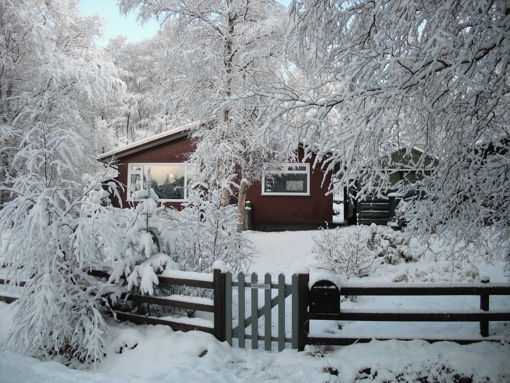 Torcroft Lodges Drumnadrochit Habitación foto